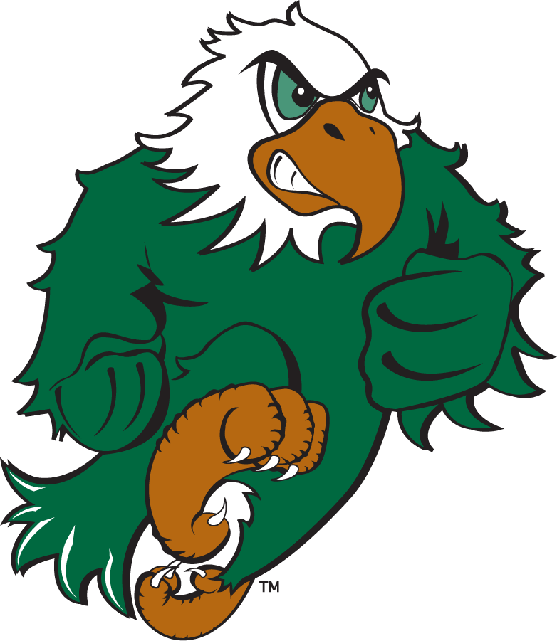 North Texas Mean Green 2003-2005 Mascot Logo iron on transfers for clothing